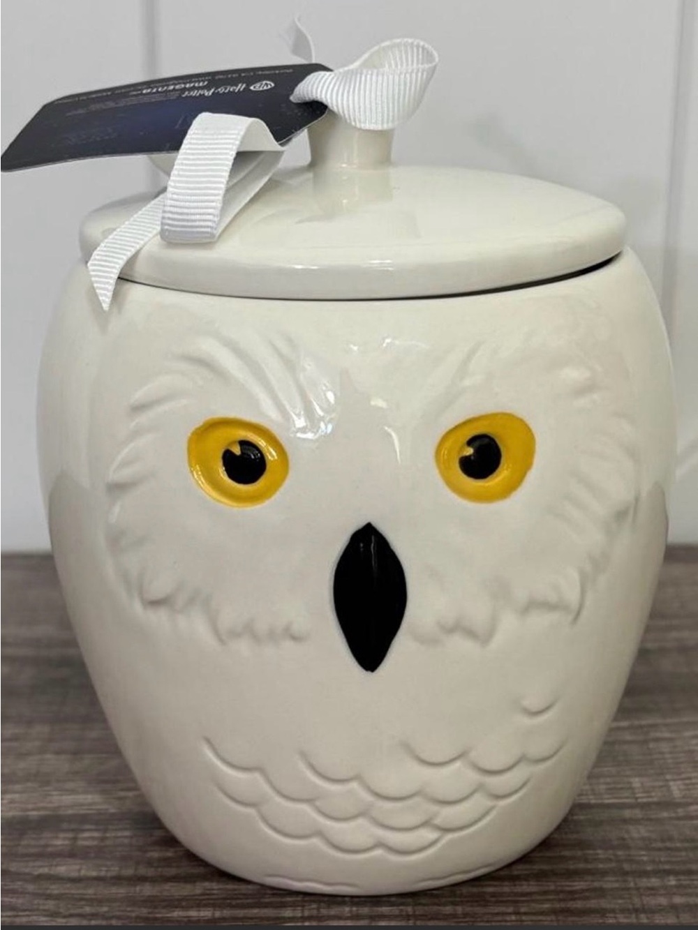 NWT Rae Dunn Harry Potter Hedwig Ceramic Jar